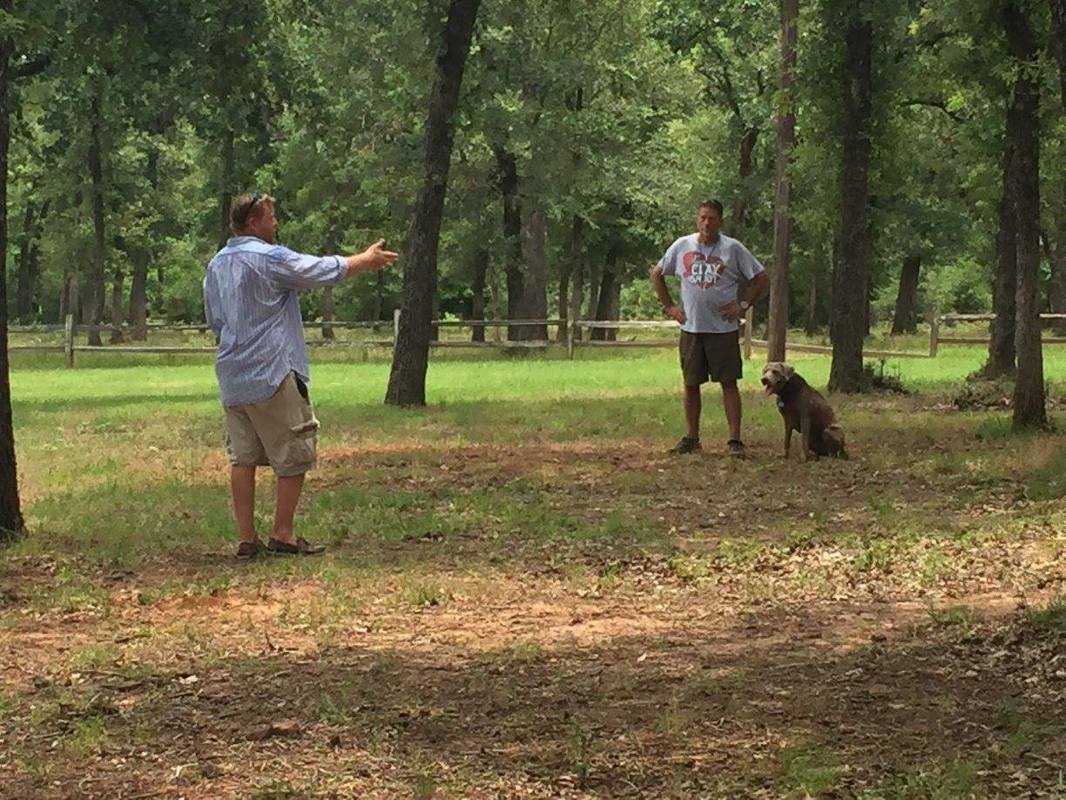 People and dog in woods